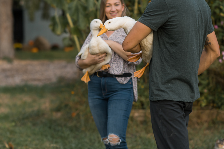 Fall is in full swing here in NJ, my first Fall Family session with Anna and Adam at their Farm House in Hackettstown NJ. Anna and Adam recently purchased their dream farm house on a 4 acres of land. This family of four now has chickens, ducks, birds, cats, a dog, sheep and plans to add many more to the list in the future. I had the honor of visiting Anna and Adam and their two beautiful children at their Farm the other day. I got much need vitamin D walking around the property, enjoying the foliage, running around with their kids and meeting all the farm animals. I sincerely enjoy photographing families now because there are no dull moments with kids, every moment is perfect! Fall family session at Anna and Adam’s Farm at Hackettstown NJ photographed by Karis from HeyKaris.